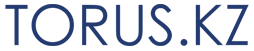 TORUS